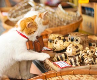 Illustration for article titled Cats Are the Cutest Guides to Japan